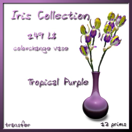 Roses By Res - Tropical Purple Iris Collection (Giftbox)