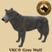 Vkc grey wolf marketplace advert 02