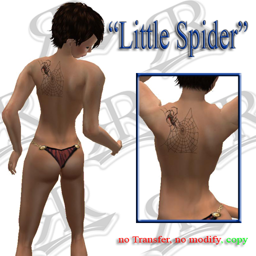 ::RR:: Little Spider