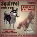 Vavoom squirrel dog toy advert