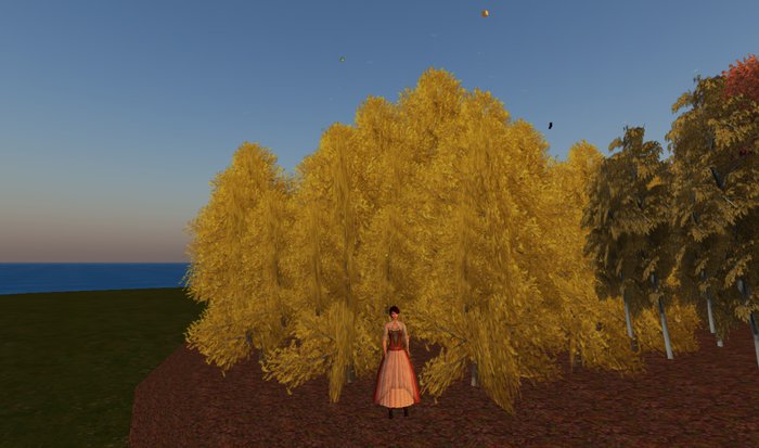 European Larch Forest w/Falling Needels - 21 trees