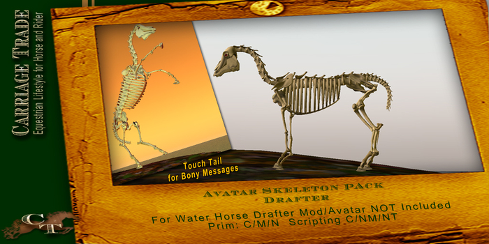@CT@ Skeleton Accessory Pack Drafter