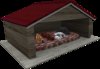 Vavoom red roofed doghouse light