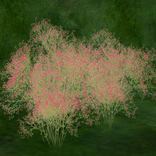 Little Rice Dianthus_red  (copy)