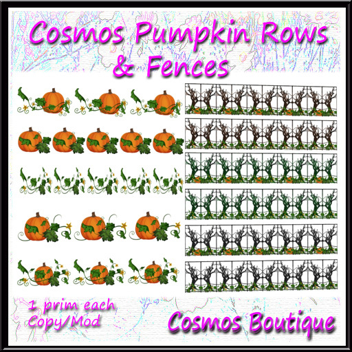 Cosmos Pumpkin Fences & Rows (Box)