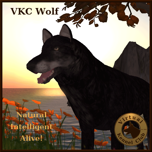 Vkc wolf black