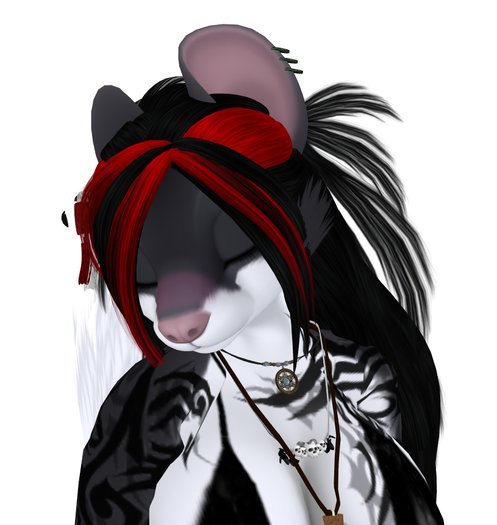 Chinchilla Blushie! Now with kissy nose!