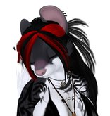 Chinchilla Blushie! Now with kissy nose!