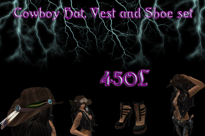 Cowboy hat, vest, and shoe set
