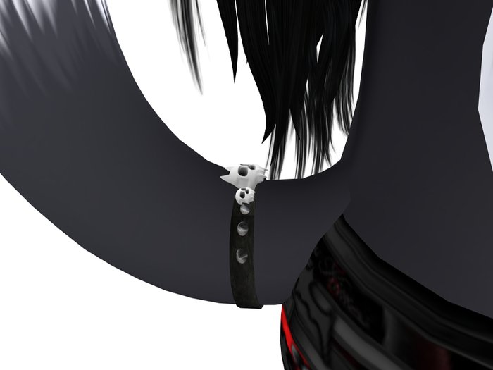 Cute Skully Tail Strap for the Curious Chinchilla!