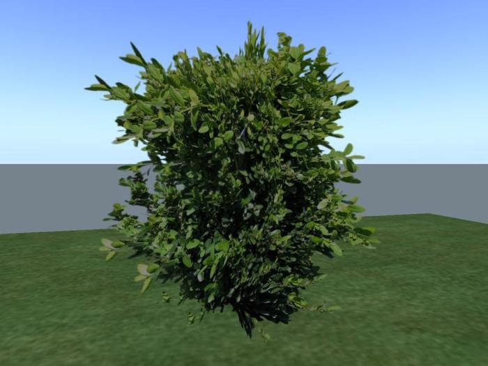 Arkads 1 Prim Green Tower Boxwood