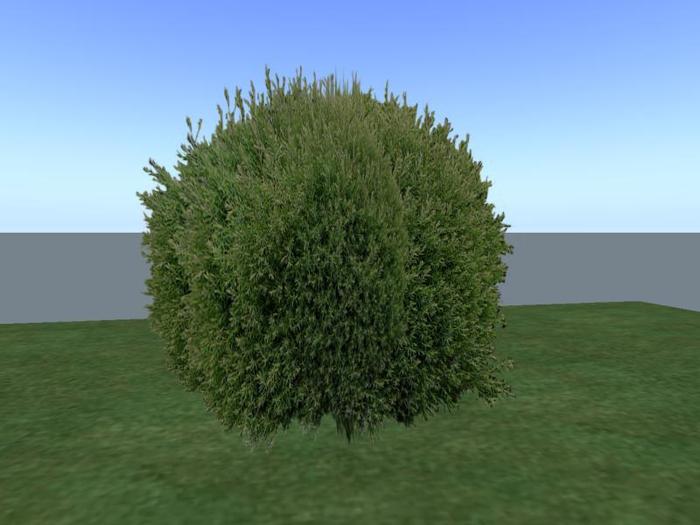 Arkads 1 Prim Heather Bun Cypress
