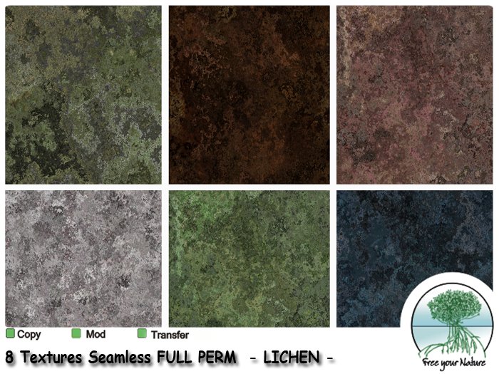 FYN Texture - LICHEN -