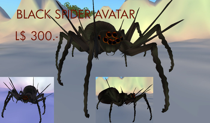 Black Spider Avatar