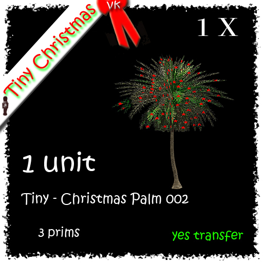 1 x Tiny - Christmas Palm 