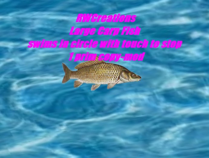 Large Carp Fish swims in a circle with touch to stop by RWC (boxed