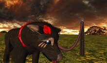 Twi Red rose open Collar Leash