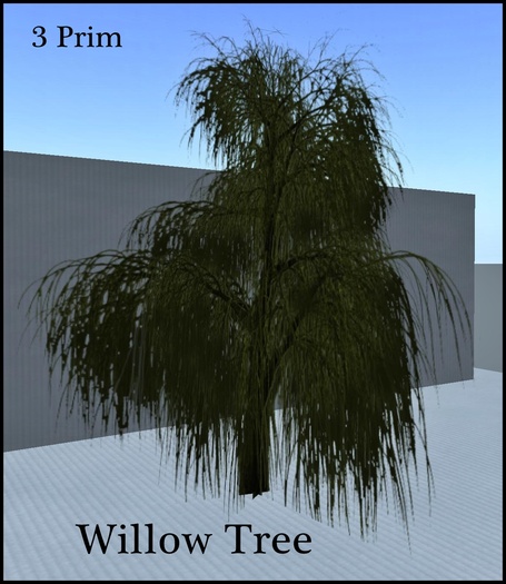 Willow Tree