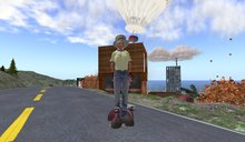 Wingsong Turkey Slippers Box