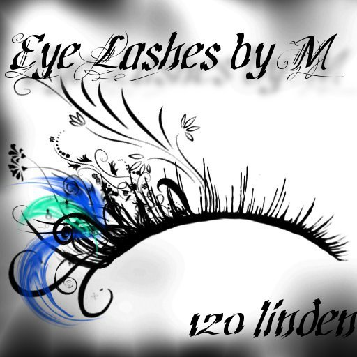 Lashes H/ XB