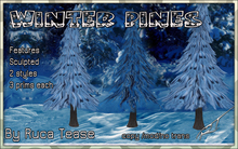 winter snow pine trees