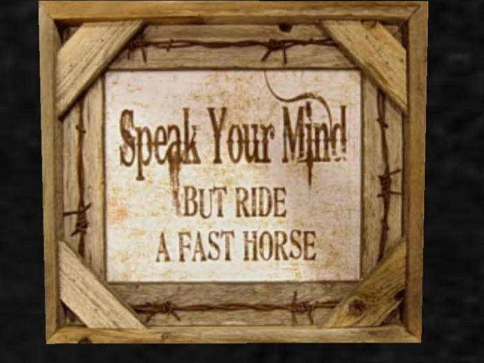 Speak Your Mind - But Ride a FAST Horse !