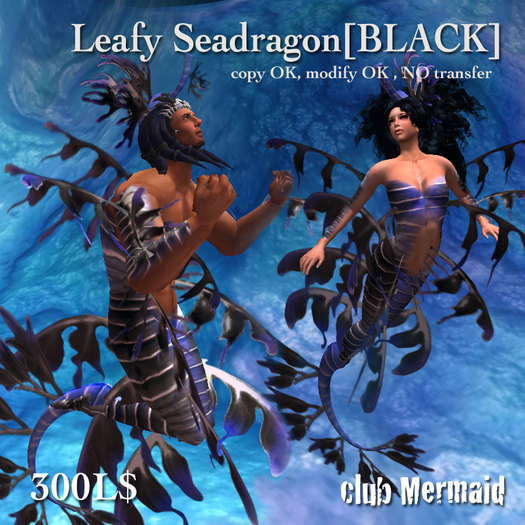 !cm!Leafy Seadragon[black]copy