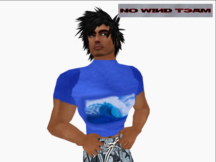 ::NWT::  Shirt -Surfer's prayer - blue