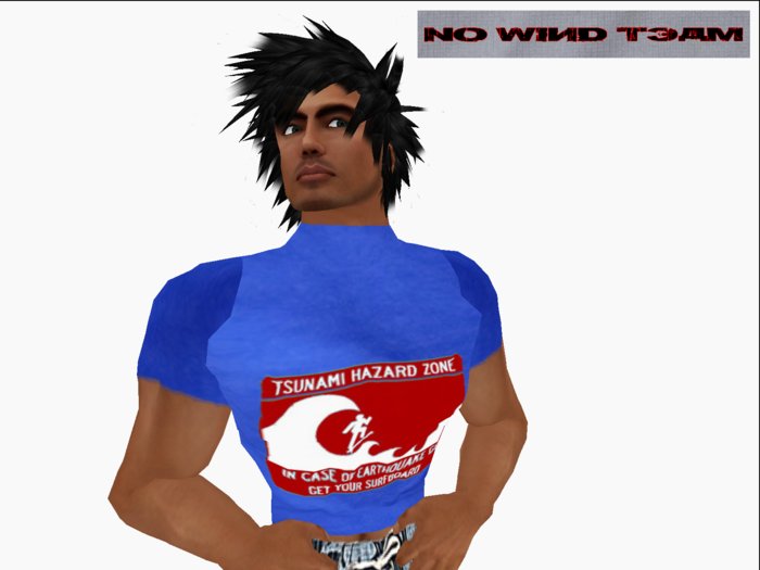 ::NWT::  Shirt -Tsunami - blue