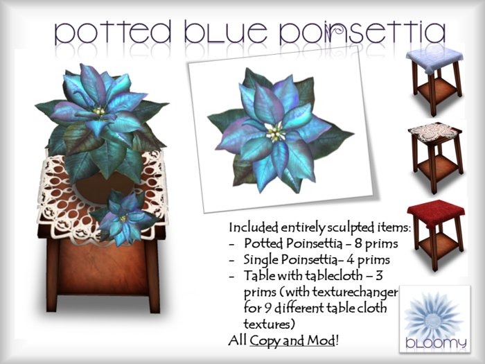 Potted blue Poinsettia / Copy + Mod (BOX)