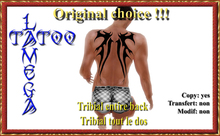 LM-Tribial tout le dos