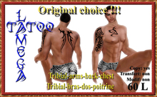 LM-Tribial-bras-dos-poitrine
