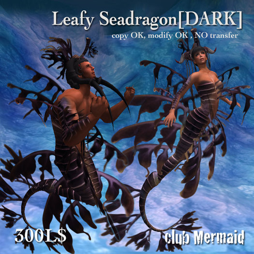 !cm!Leafy Seadragon[dark]copy