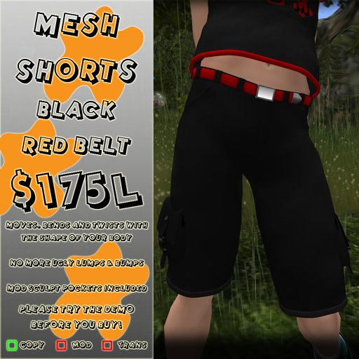 Mesh Shorts - Black - Red Belt