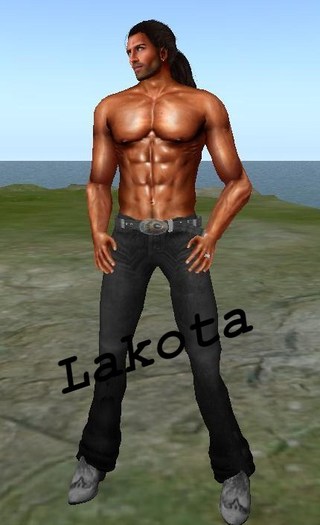 *AL* Lakota 