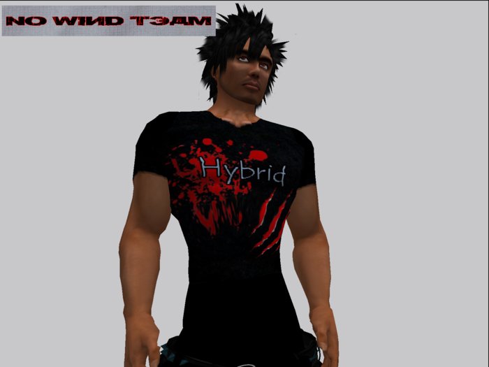 ::NWT::Vampire/Lycan edition - Shirt - HYBRID