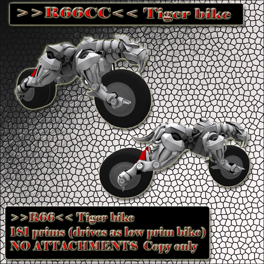 R66 Tiger bike