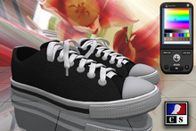 CS Design - Sneakers  M03 - Women's Color Fat Pack