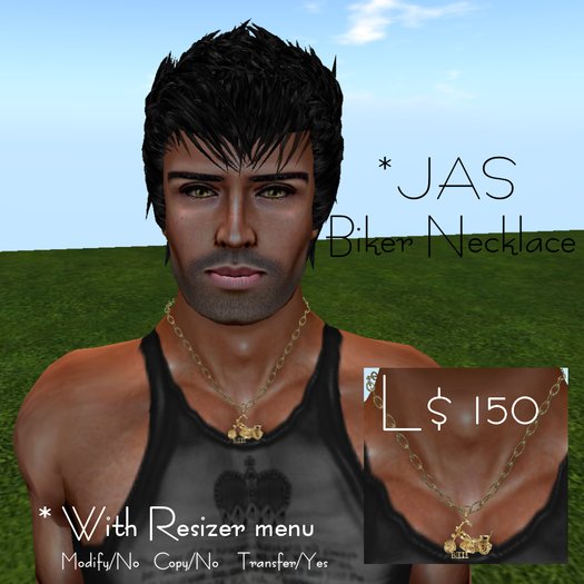 *JAS* Biker Necklace Gold