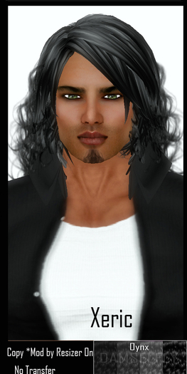 *~*Damselfly*~*Xeric Oynx