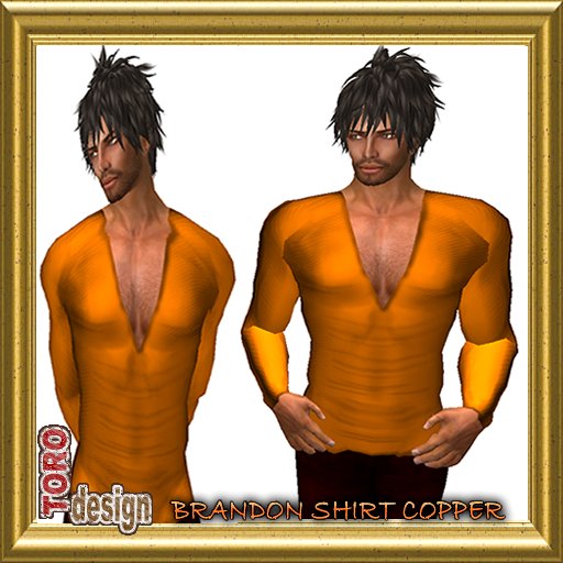 BRANDON SHIRT COPPER