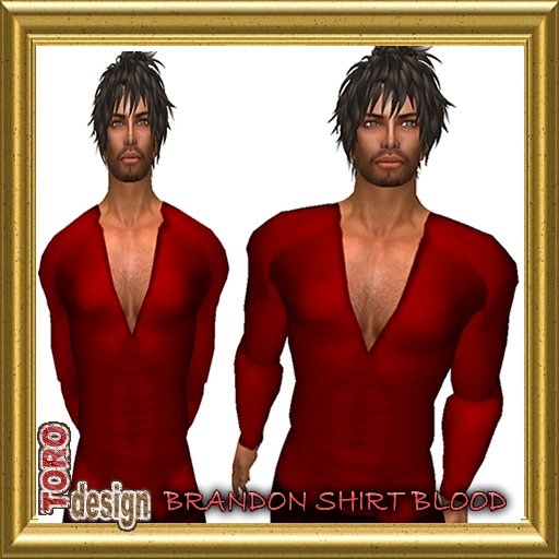 BRANDON SHIRT BLOOD