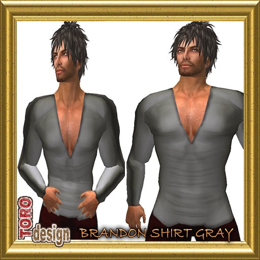 GRAY SHIRT BRANDON