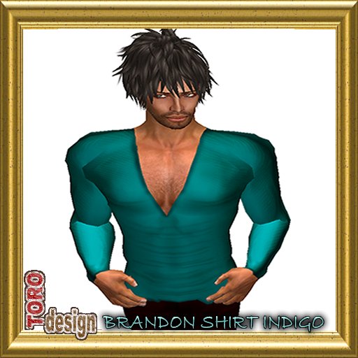 INDIGO SHIRT BRANDON