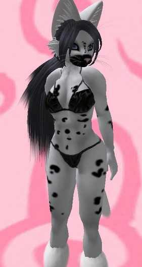 White Spotted Felis Box