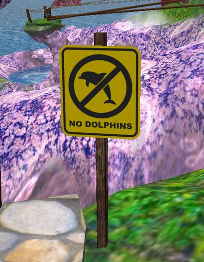 No Dolphins Allowed Sign - Yellow
