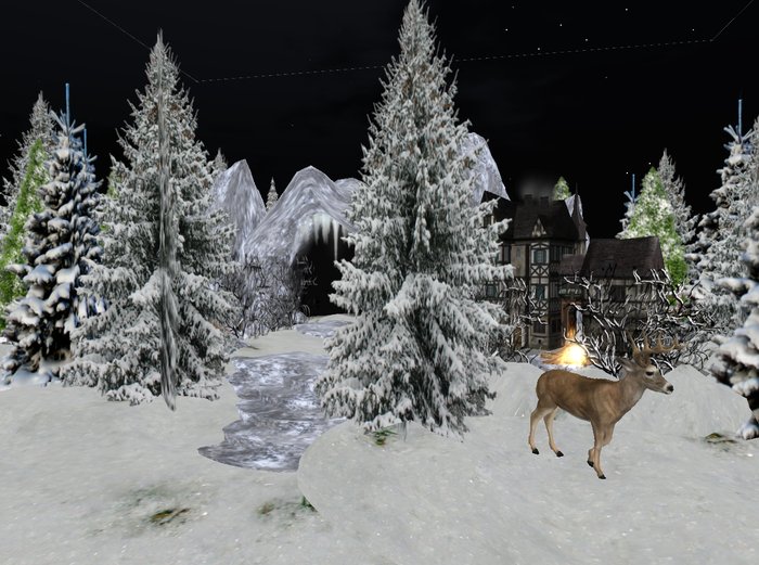 SB - CA " Winter Wonderland"