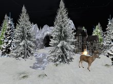 SB - CA " Winter Wonderland"