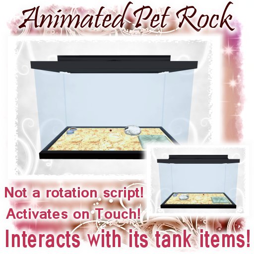 Animated Pet Rock