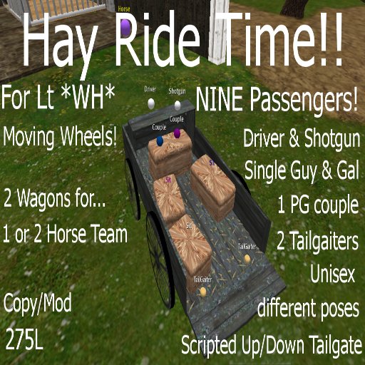 DD's *Lt WH* Hay Ride Buckboard